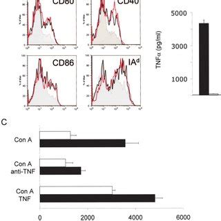 myd88 for football live|MyD88 Signaling Controls Autoimmune Myocarditis Induction.
